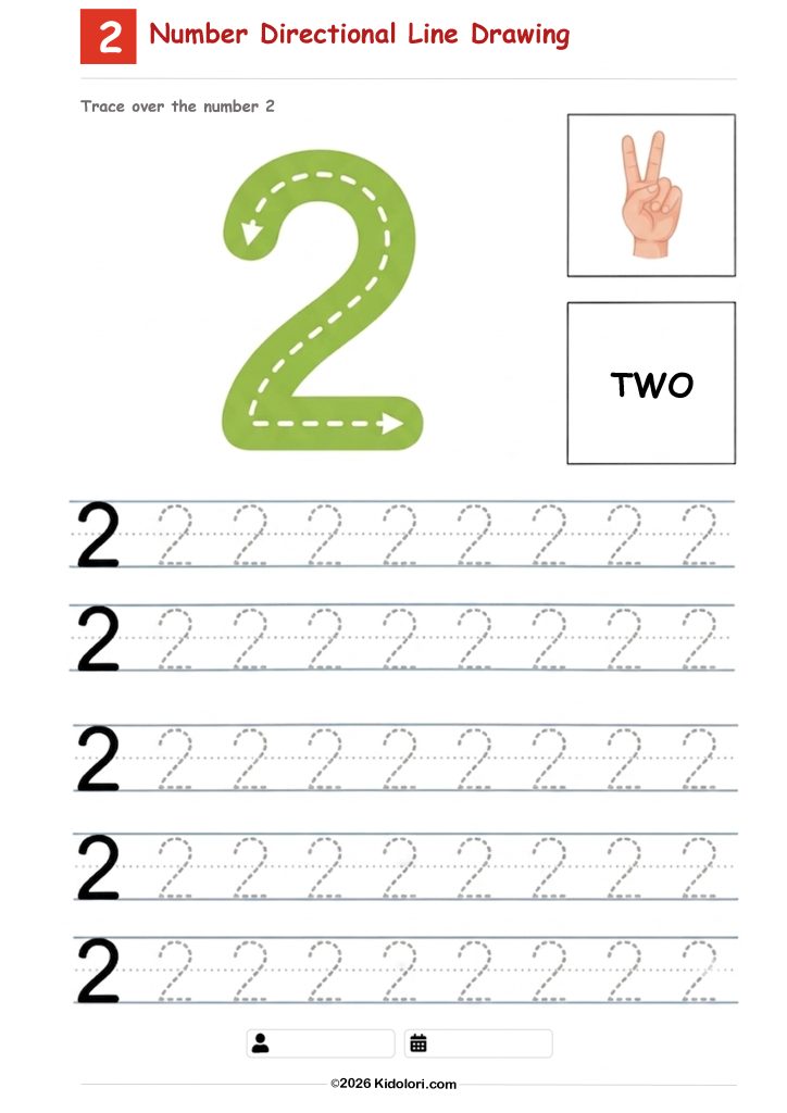 Number 2 Directional Tracing Worksheet