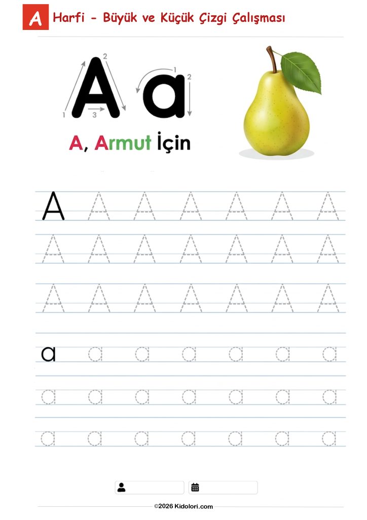A – Büyük ve Küçük Harf Çizgi Çalışması