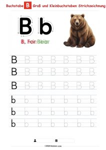 Buchstabe B – Große und kleine Buchstaben Nachspurübung