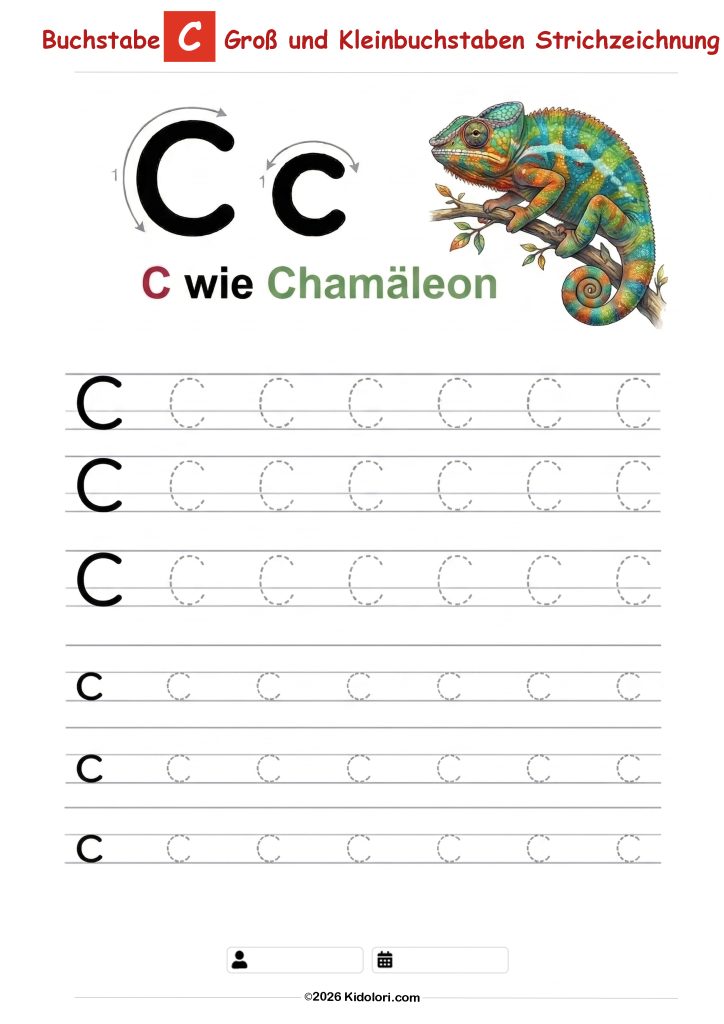 Buchstabe C – Große und kleine Buchstaben Nachspurübung