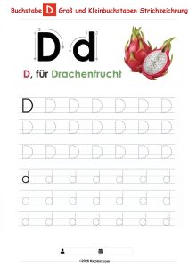 Buchstabe D – Große und kleine Buchstaben Nachspurübung