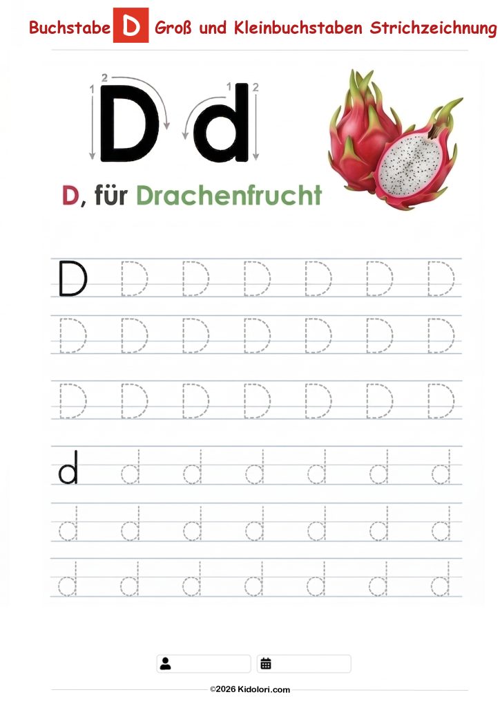Buchstabe D – Große und kleine Buchstaben Nachspurübung