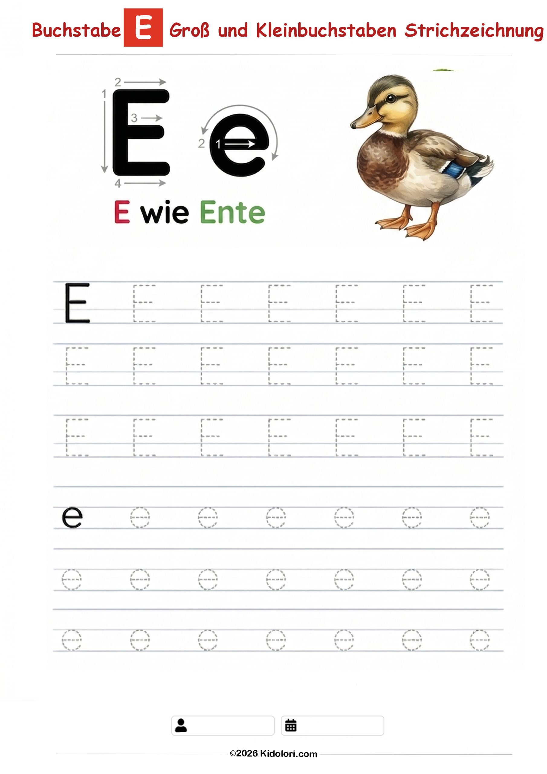 Buchstabe E – Große und kleine Buchstaben Nachspurübung