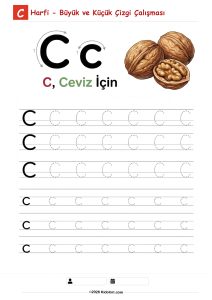 C – Büyük ve Küçük Harf Çizgi Çalışması