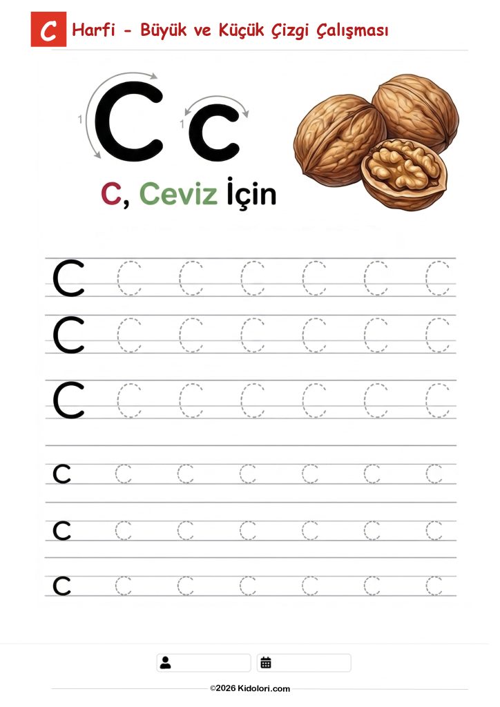 C – Büyük ve Küçük Harf Çizgi Çalışması