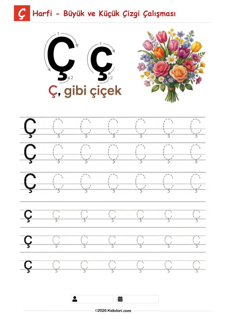 Ç – Büyük ve Küçük Harf Çizgi Çalışması