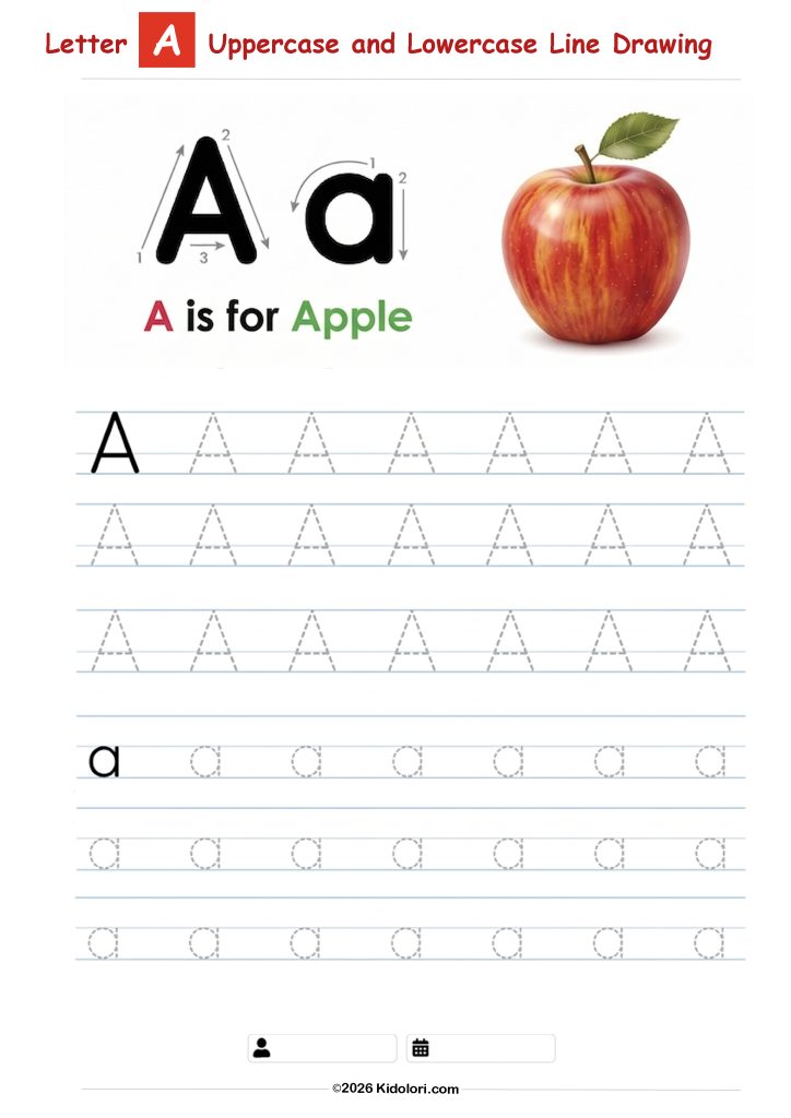 Letter A – Uppercase and Lowercase Tracing Worksheet