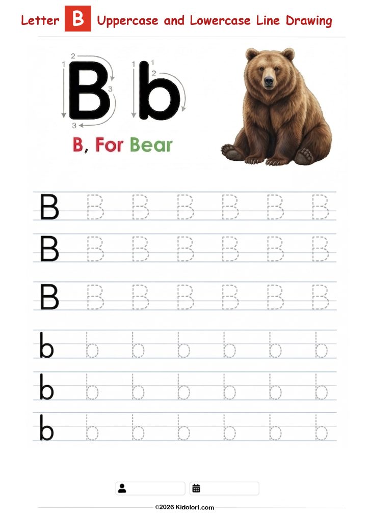 Letter B – Uppercase and Lowercase Tracing Worksheet