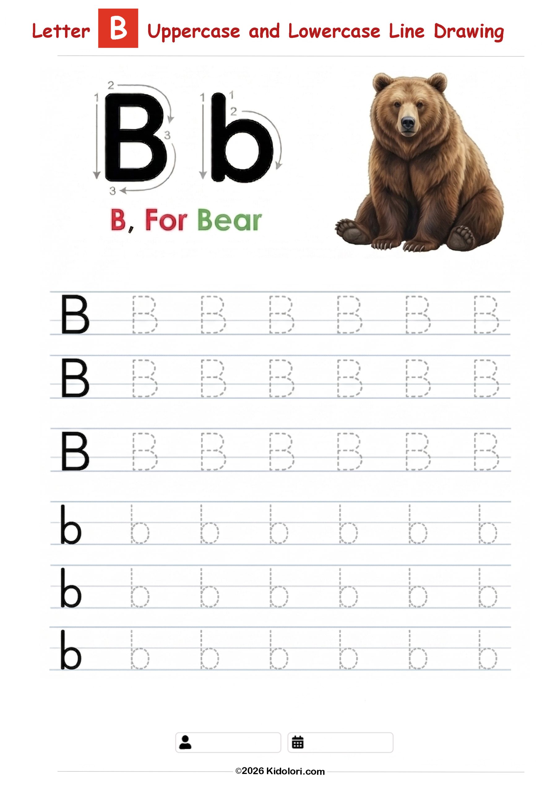 Letter B – Uppercase and Lowercase Tracing Worksheet