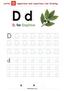 Letter D – Uppercase and Lowercase Tracing Worksheet