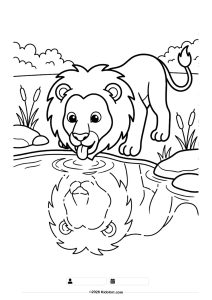 Lion Drinking Water Coloring Page