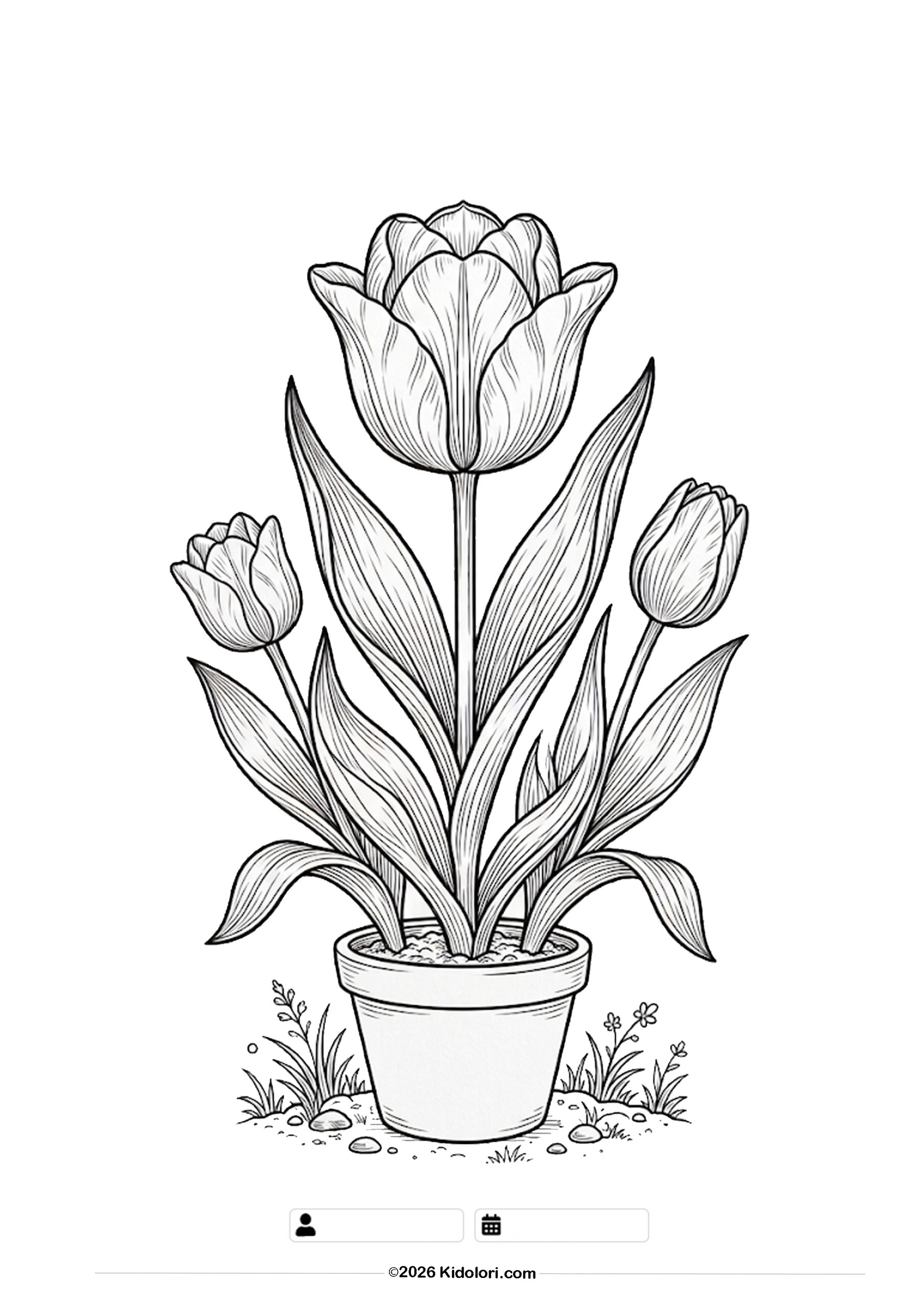 Cute Tulips in a Pot Coloring Page