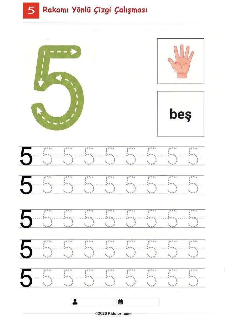 5 Rakamı Yönlü Çizgi Çalışması