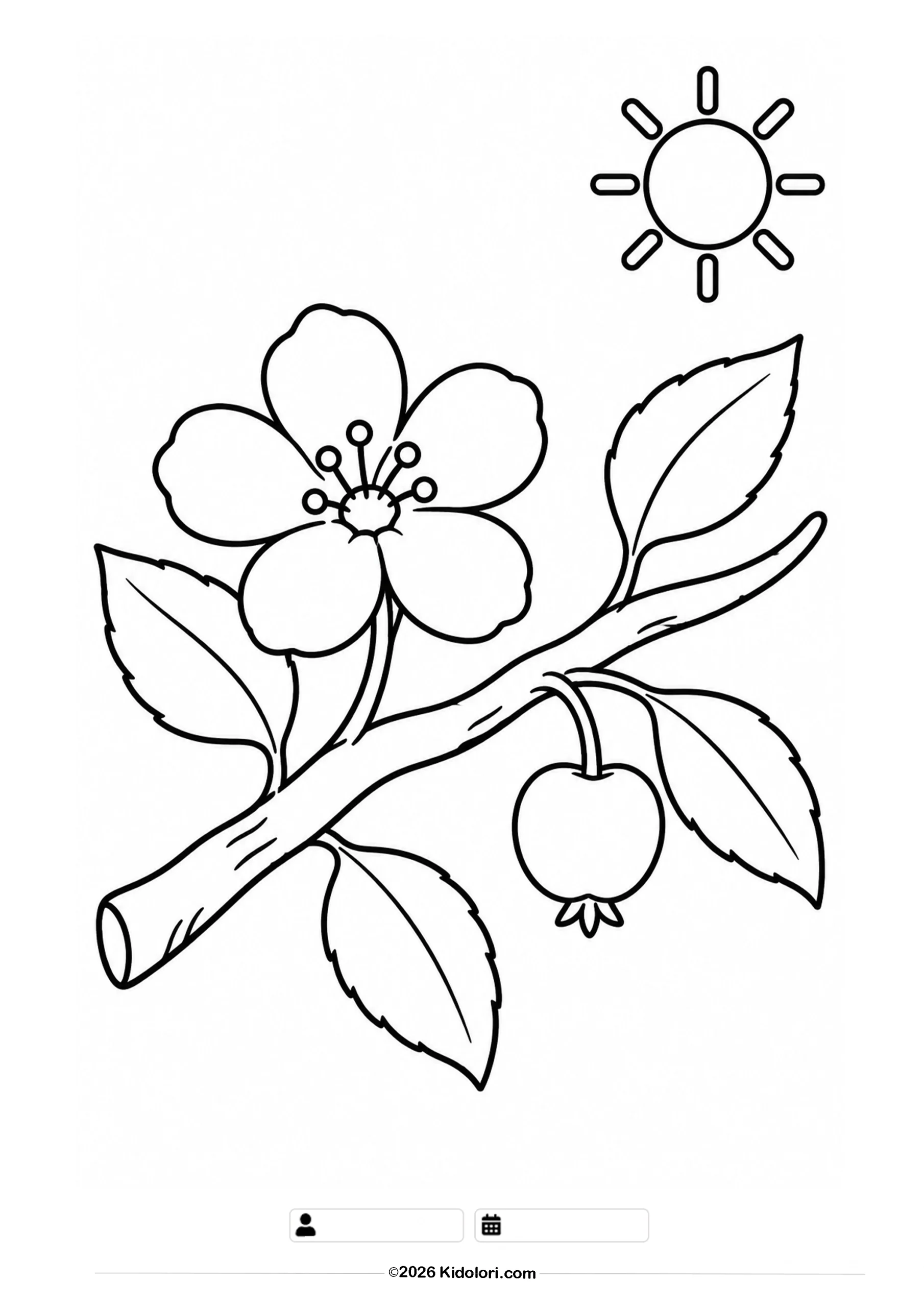 Apple Blossom and Growing Apple Coloring Page