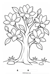 Blühender Magnolienbaum im Frühling – Ausmalbild