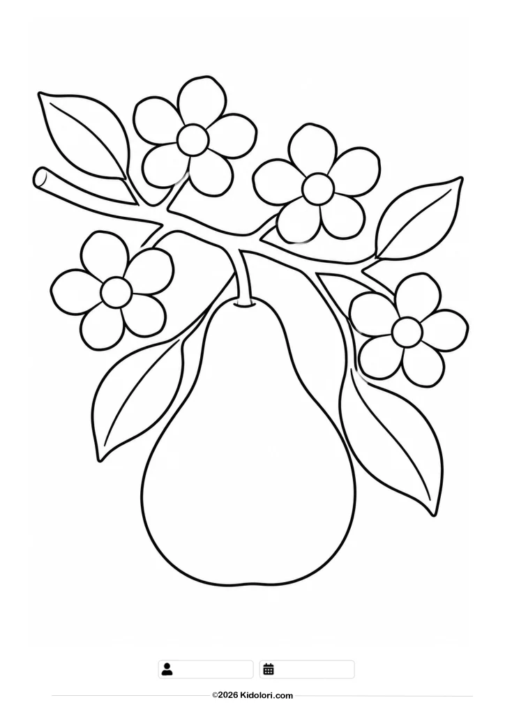 Birnenblüte und Birne Ausmalbild