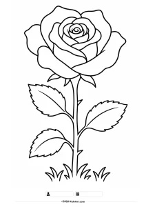 Rose Coloring Page