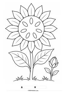 Sunflower Coloring Page