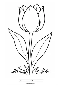 Tulpe Ausmalbild