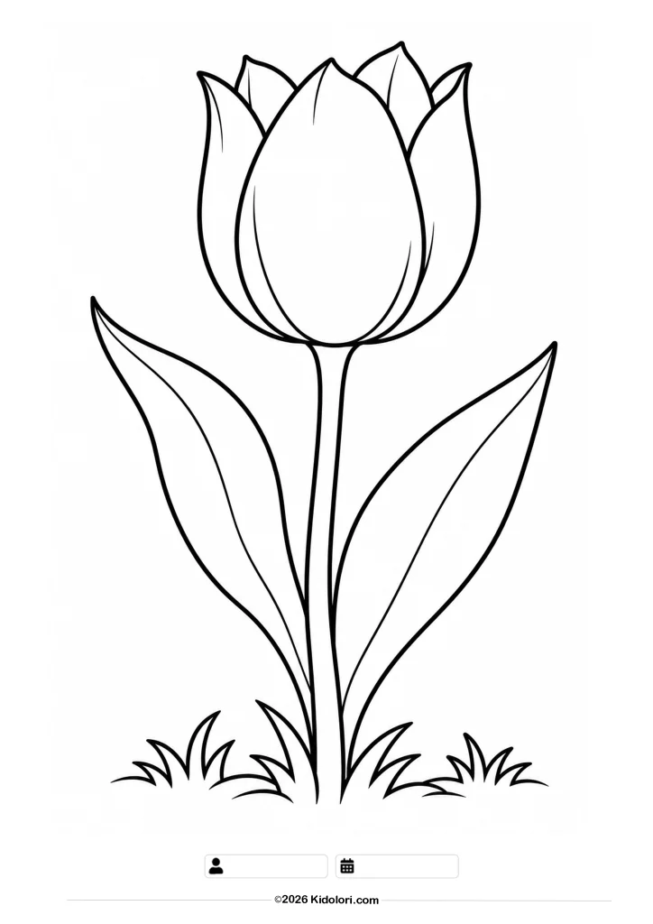 Tulpe Ausmalbild